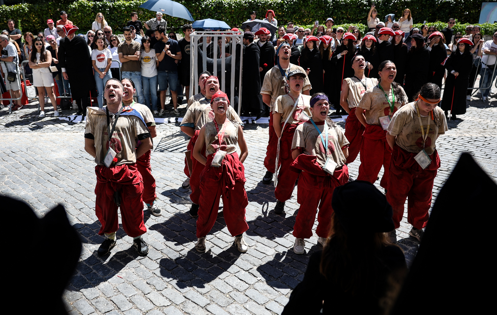 Thumbnail da galeria Cortejo